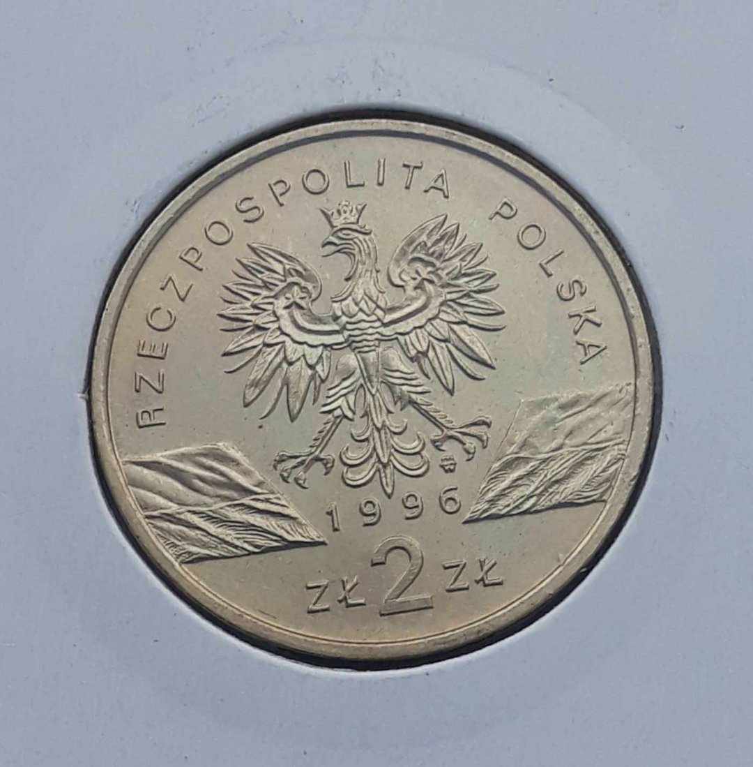 2 zlote GN jeze 1996 r. stan 1 img 2